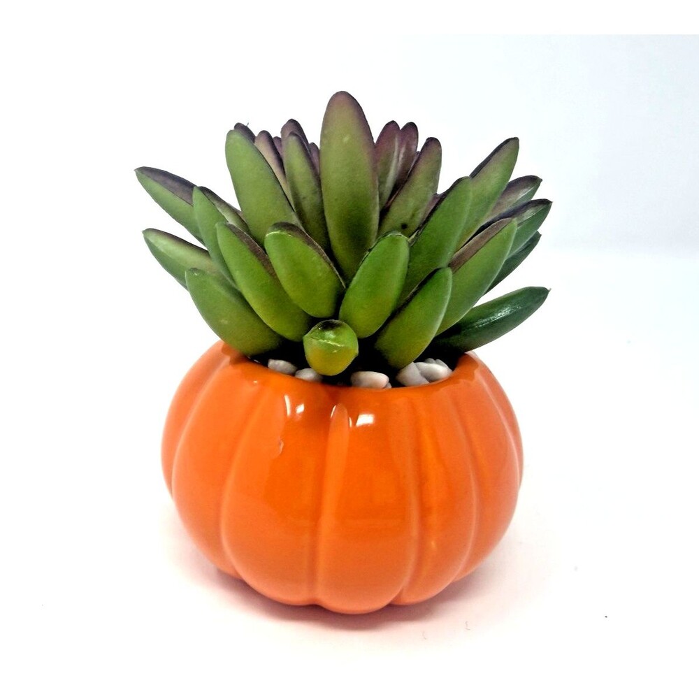 Disney Tim Burton's Nightmare Before Christmas Pumpkin King Faux Succulent 3.5in - Picture 4 of 8